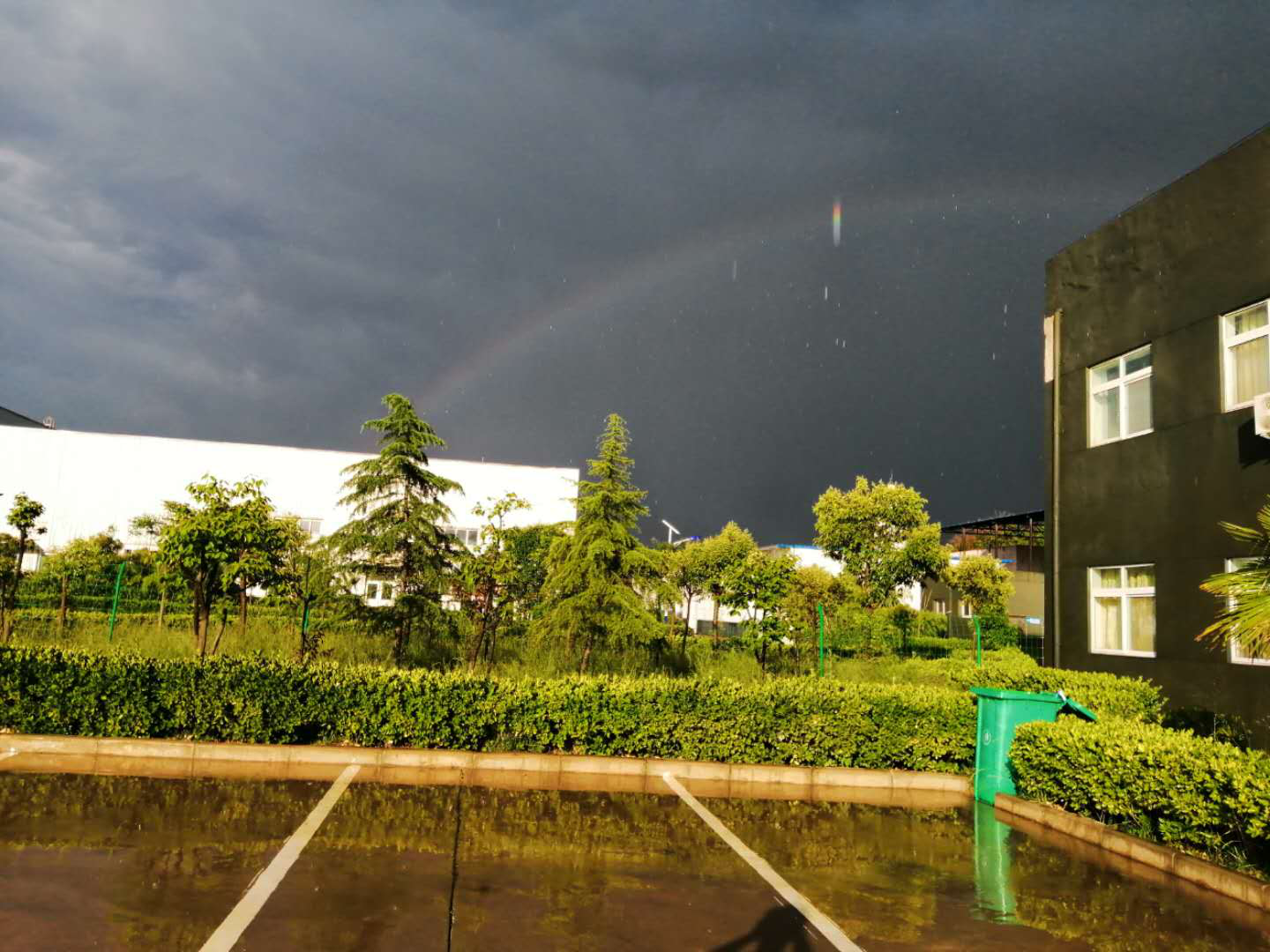 Rainbow after the Rain