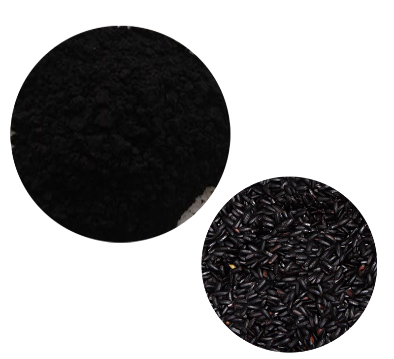 Black Rice Extract Has Been Produced