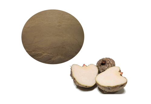 Konjac Ceramide