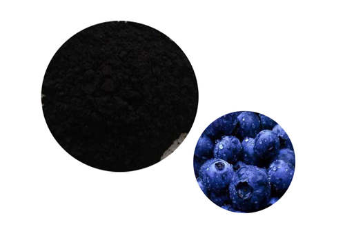 Bilberry Extract