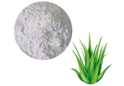 Aloe Lyophilised Powder