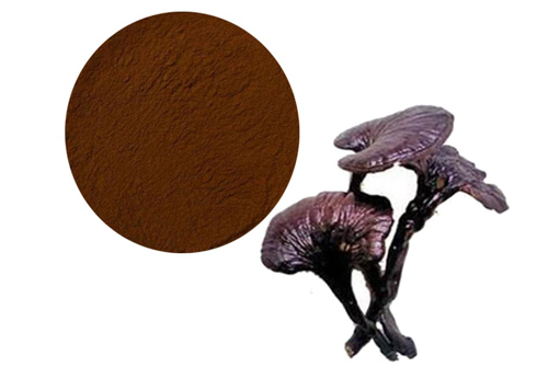 Reishi Extract