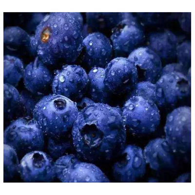 Bilberry 