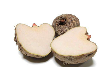 Konjac Ceramide