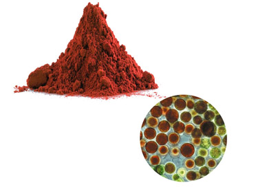 Astaxanthin