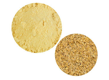 Rice Bran Ceramide