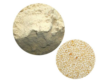 Sesame Protein