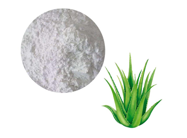 Aloe Vera Lyophilized Powder