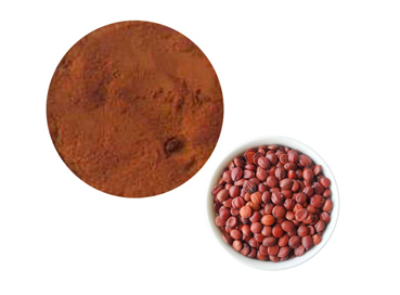 Jujube Kernel Extract