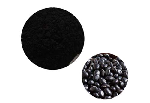 Black Bean Peel Extract 