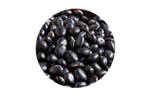 Black Bean