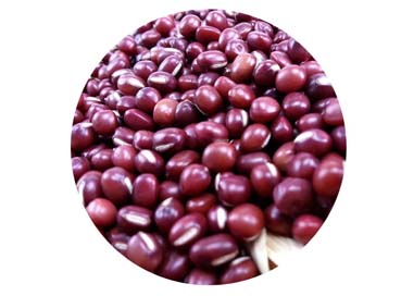 Red Bean Protein