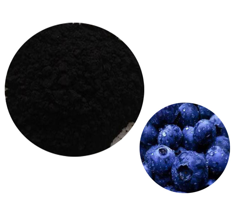 CAS84082348,Bilberry Extract