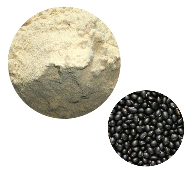 Black Bean Protein