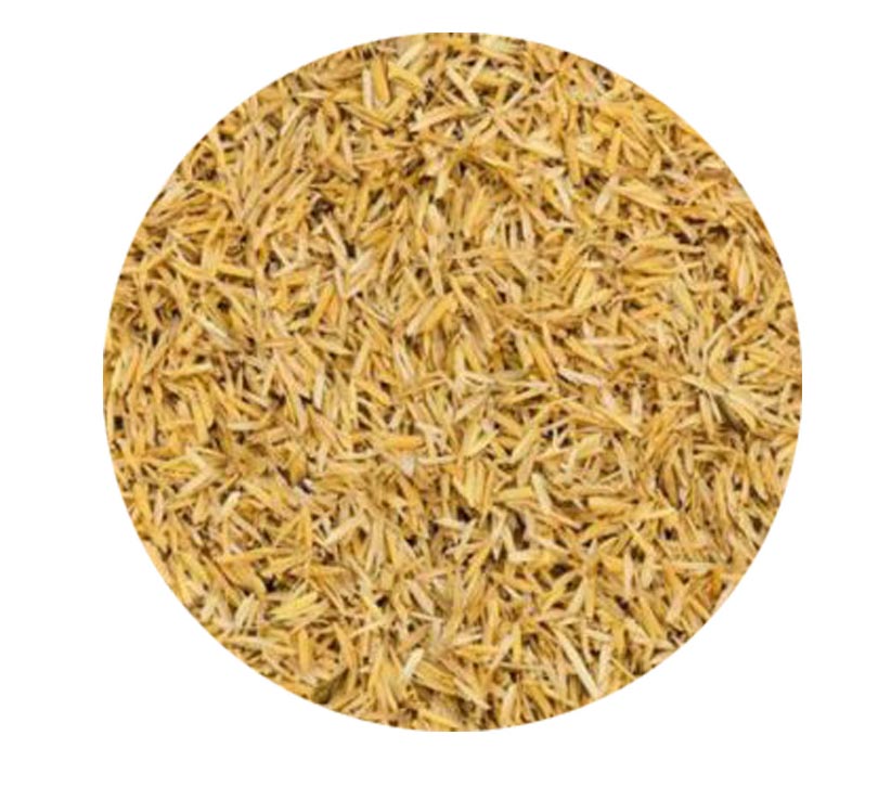 Rice bran Ceramide