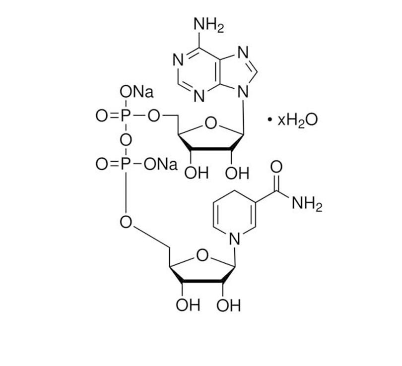 Collection 98+ Images nadh is the reduced form of nad Excellent
