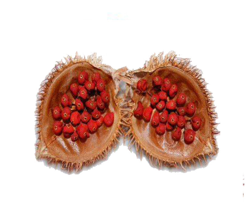 Annatto