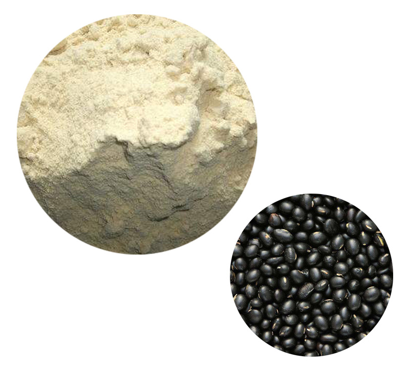 Vegetable ProteinYOUBIO plant protein extract manufacturer