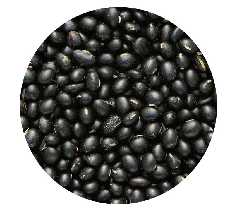 Black Bean Protein