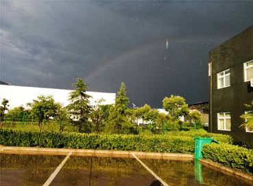 Rainbow after the Rain