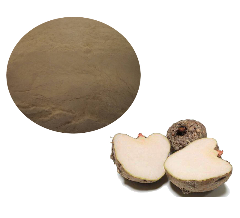 Konjac Ceramide