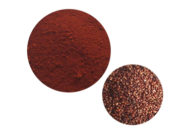 What Are the Benefits of Grape Seed Extract?