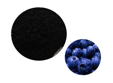 Do You Know the Difference between Bilberry and Blueberry?