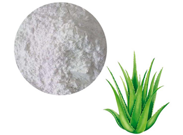 How to Use the Lyophilised Powder?