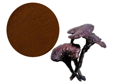 Benefits of Reishi Extract
