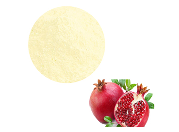 Advantages of Pomegranate Ellagic Acid