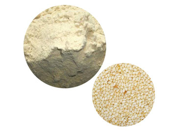 Sesamin: Providing Superior Health Benefits