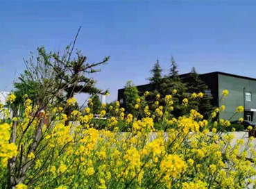 Spring Is a Season of Hope