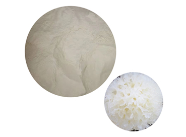 Benefits of Tremella Fuciformis