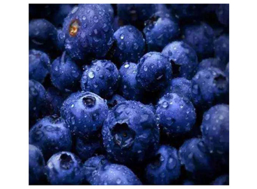 What Is Bilberry Extract Good For?