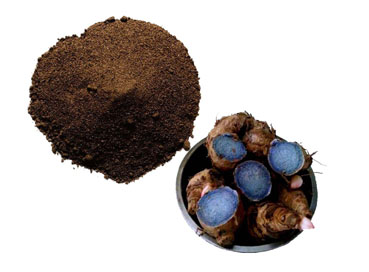 Benefits of Black Ginger