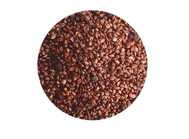 Is Grape Seed Extract Good for the Liver? Is Grape Seed Extract Good for the Liver?
