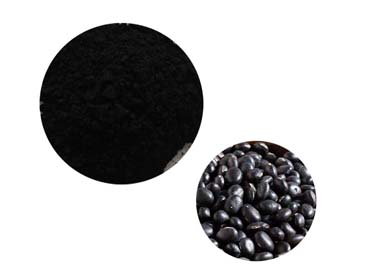 6 Health Benefits of Black Beans