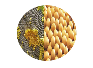 When Should You Take Phosphatidylserine?