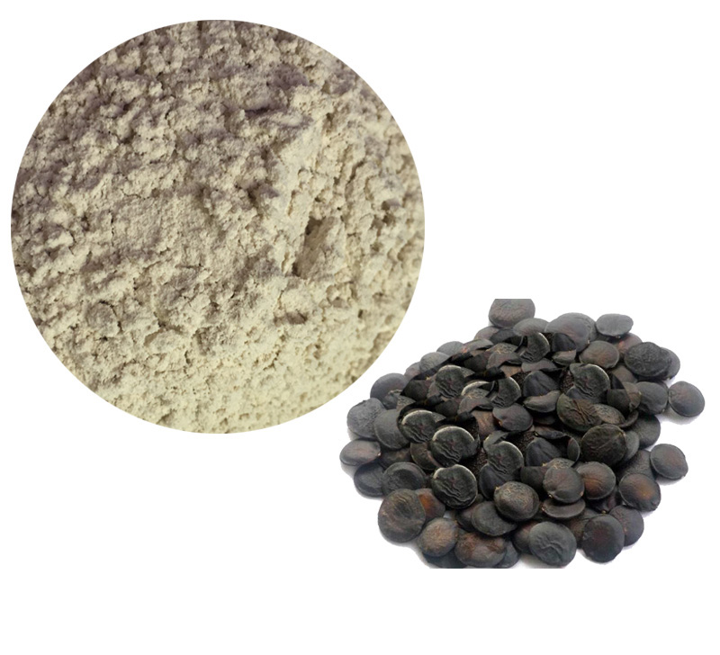 Griffonia Seed Extract