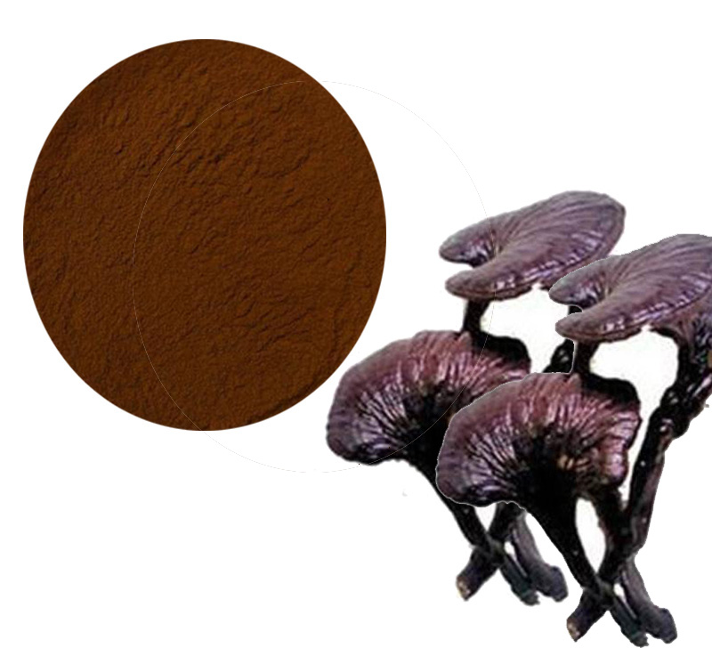 Ganoderma Lucidum Extract
