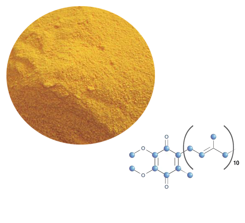 Coenzyme Q10