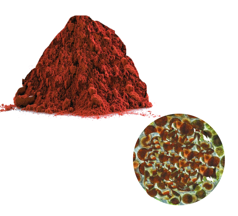 Astaxanthin