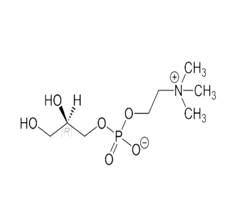 Alpha-GPC