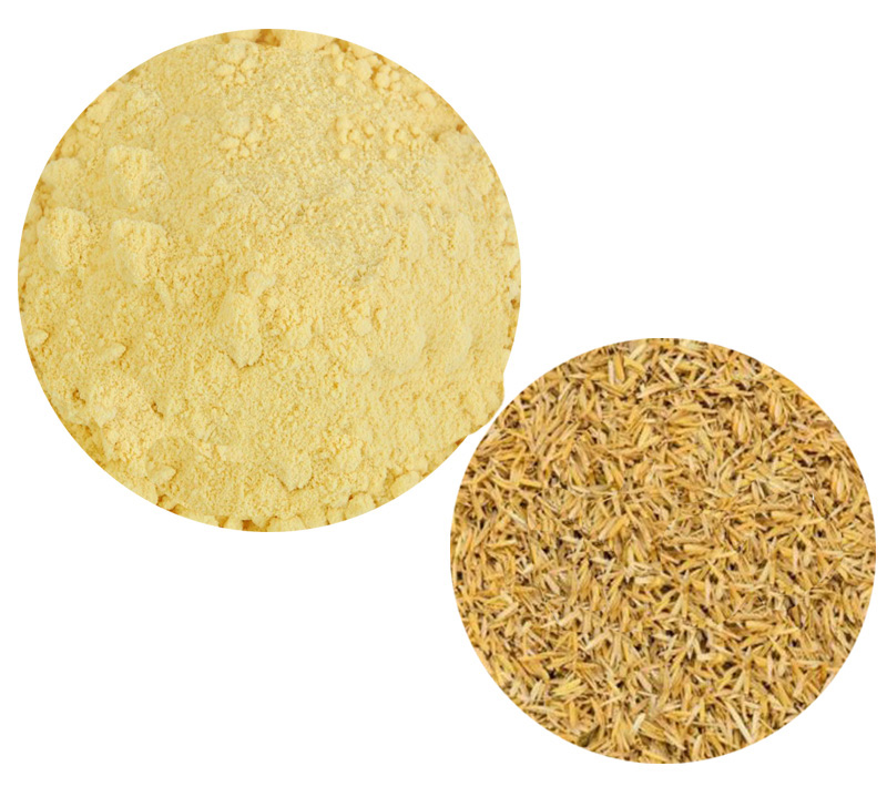 Rice bran Ceramide