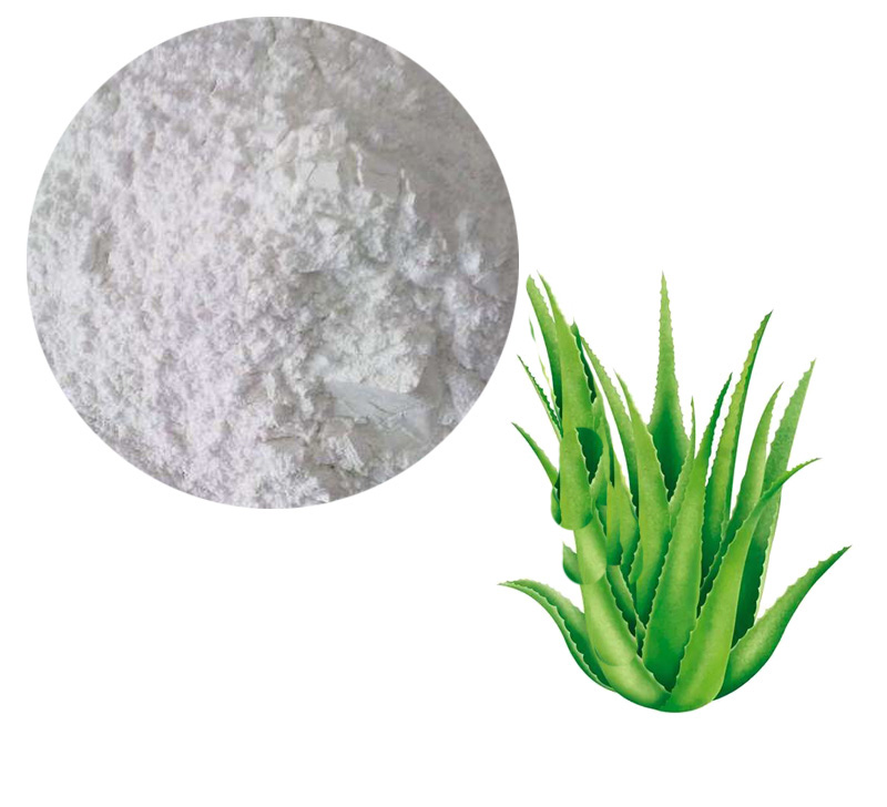 Aloe Lyophilized Powder