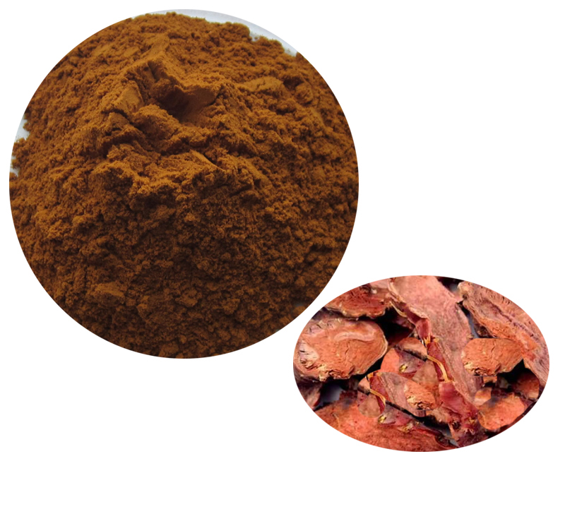 Rhodiola Rosea Extract