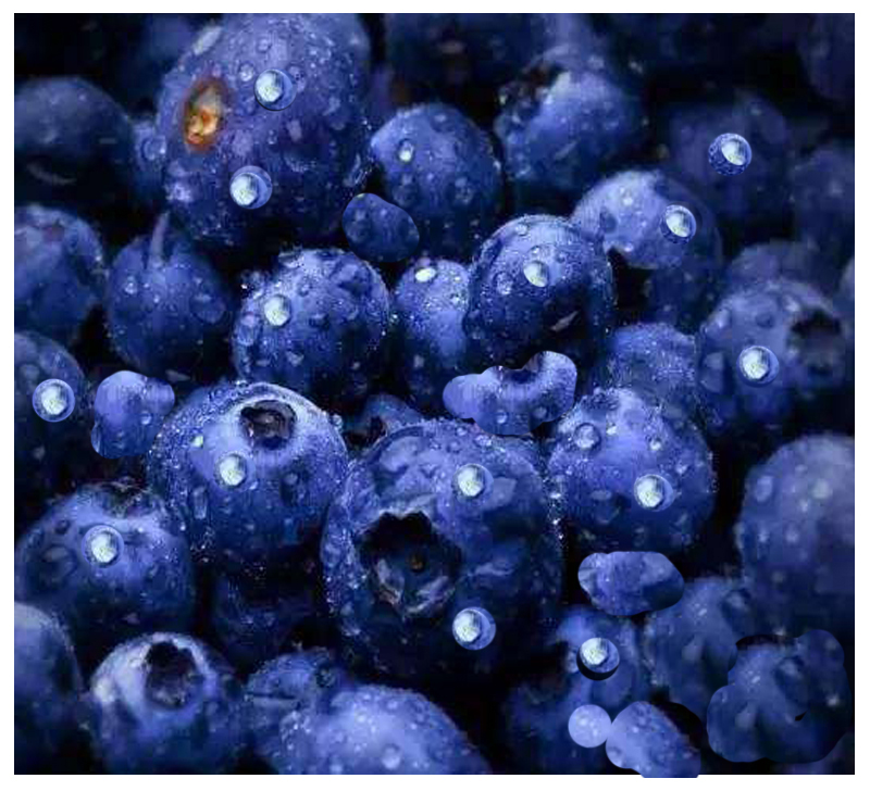 Bilberry Extract