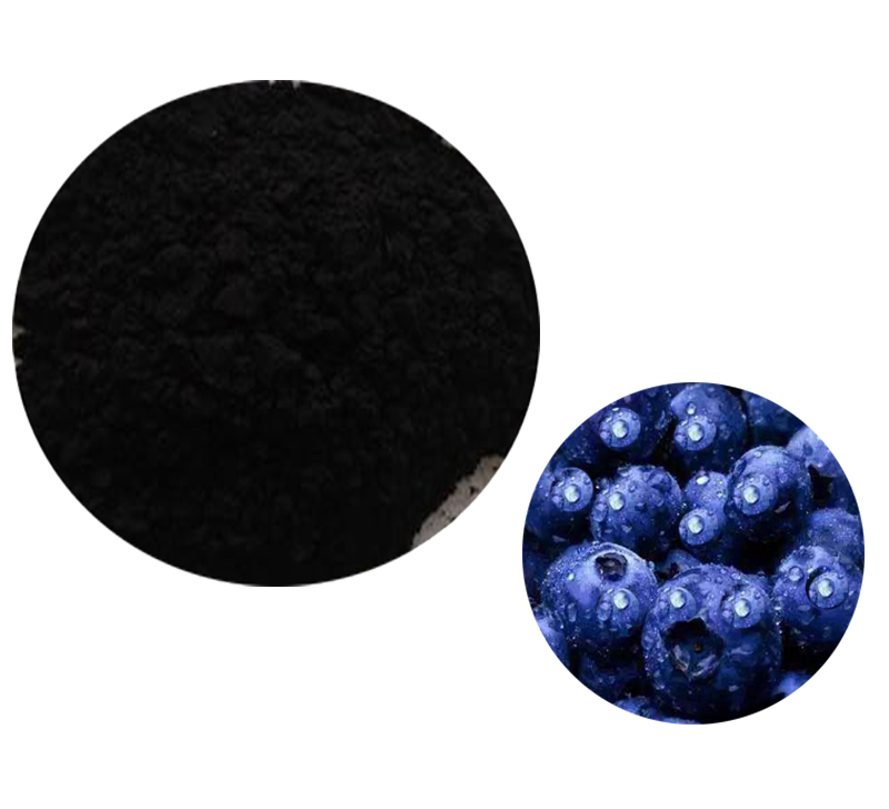 Bilberry Extract