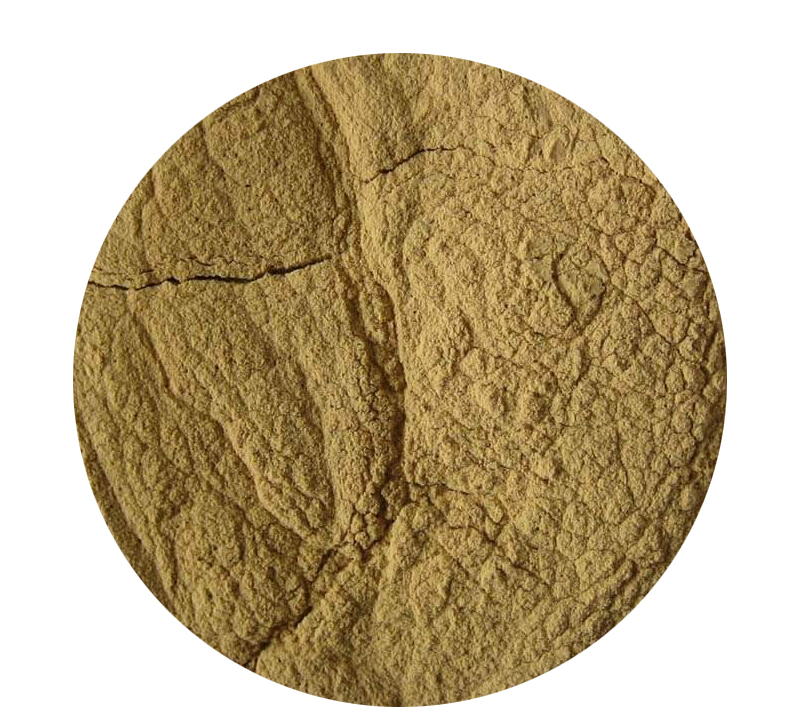 Eurycoma Longifolia Powder Extract