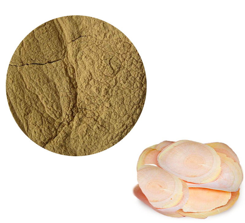 Eurycoma Longifolia Powder Extract